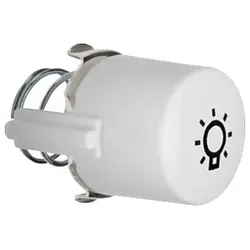 Hager/Berk Tasterknopf pws für Symbol "Licht" 1226