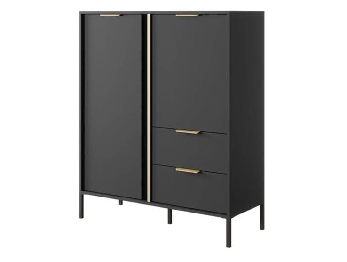 Emporius Anthrazit Zweitürige Kommode 100 cm Daros - Sideboard mit Schubladen & Beinen - Wohnzimmer, Gold Griffen