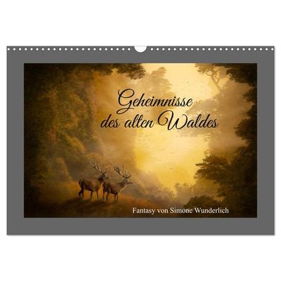 Geheimnisse des alten Waldes (Wandkalender 2026 DIN A3 quer), CALVENDO Monatskalender