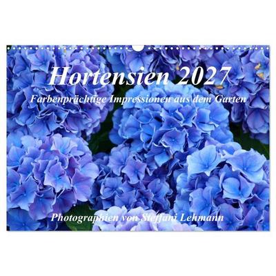 Hortensien 2027. Farbenprächtige Impressionen aus dem Garten (Wandkalender 2027 DIN A3 quer), CALVENDO Monatskalender