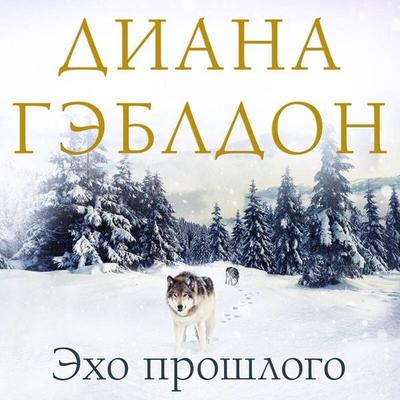 Eho proshlogo - Diana Gabaldon, Audio, 9785042414114