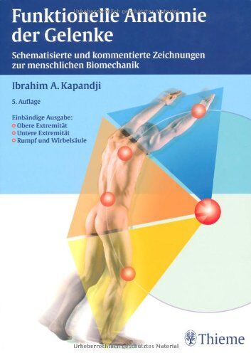Kapandji, Ibrahim A. - Funktionelle Anatomie der Gelenke. Obere Extremität - Untere Extremität - Rumpf und Wirbelsäule: Schematisierte und kommentierte Zeichnungen zur menschlichen Biomechanik - Preis vom 09.10.2026 07:28:09 h