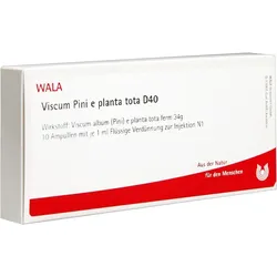 Viscum Pini E Planta Tota D40 10 ML