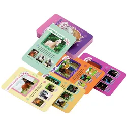 Central Books Penny Horse Quartett