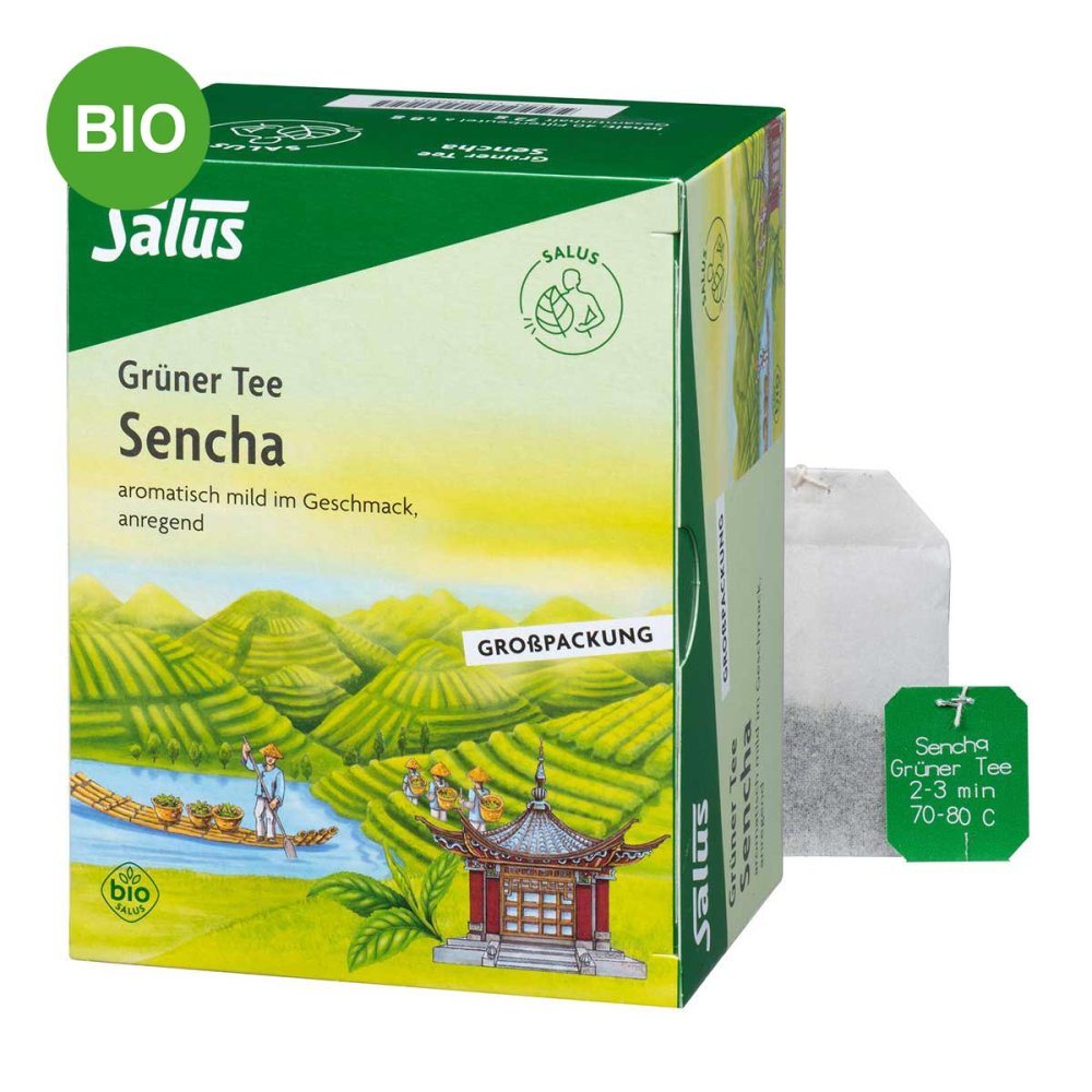 SALUS Pharma GmbH Grüner Tee bio Salus Filterbeutel Grosspackung 00249840
