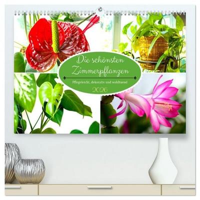 Die schönsten Zimmerpflanzen. Pflegeleicht, dekorativ und wohltuend (hochwertiger Premium Wandkalender 2026 DIN A2 quer), Kunstdruck in Hochglanz