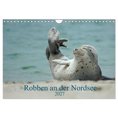 Robben an der Nordsee (Wandkalender 2027 DIN A4 quer), CALVENDO Monatskalender