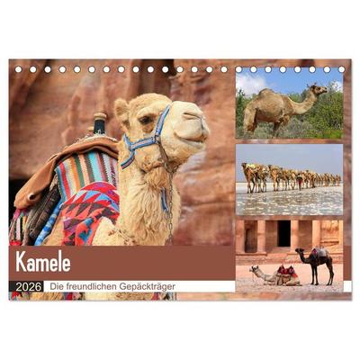 Kamele - Die freundlichen Gepäckträger (Tischkalender 2026 DIN A5 quer), CALVENDO Monatskalender