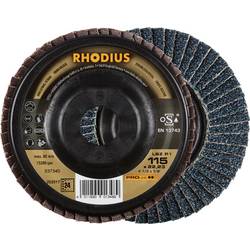 Rhodius 202517 LSZ P1 Fächerschleifscheibe Körnung (num) 24 Edelstahl, Stahl 10 St.