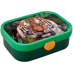 BROTDOSE Campus Wild Tiger 700 ml