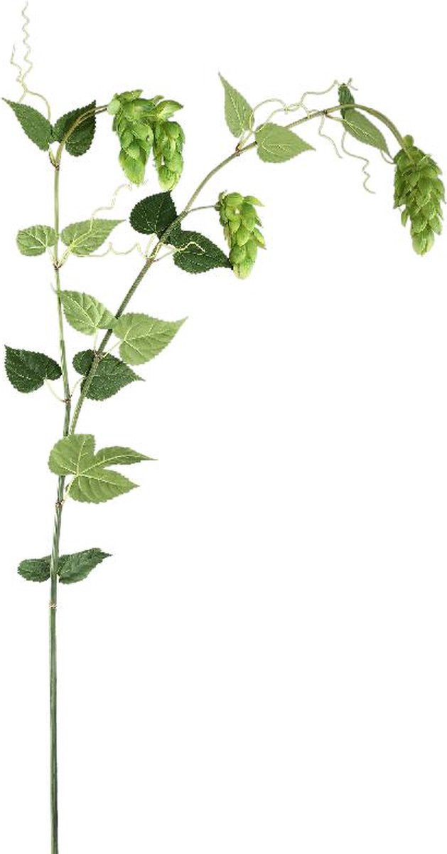 PTMD Collection Kunsttak Hops Spray Groen - B/D/H: 50 x 92 x 146 cm
