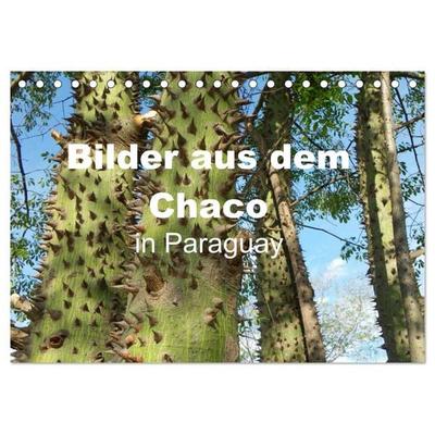 Bilder aus dem Chaco in Paraguay (Tischkalender 2026 DIN A5 quer), CALVENDO Monatskalender