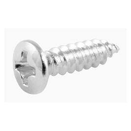 AllParts AP GS 0001-010 PG Schrauben 20 chrom (Instrumenten Ersatzteile) (47163876)