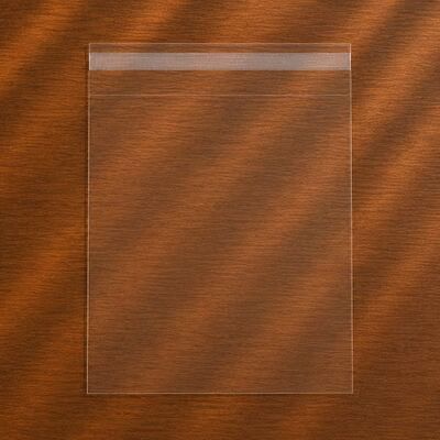 ClearBags "Laminated Crystal Clear Bags® with Flap 9"" x 12"" 100 pack"