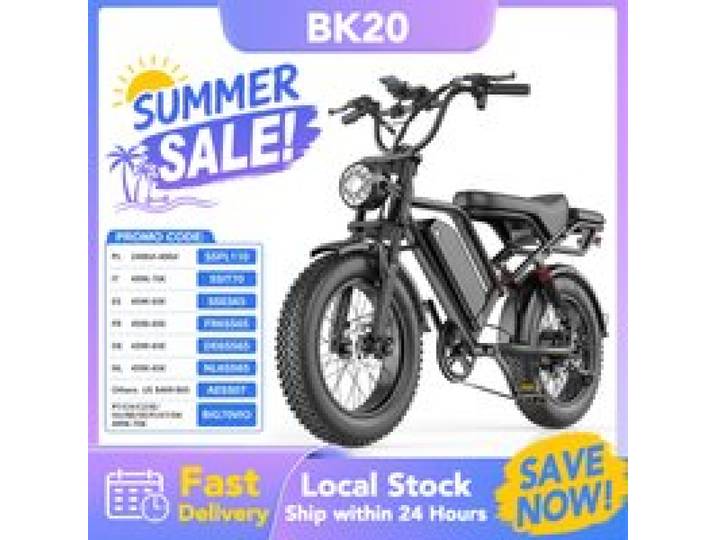 BK20 elektrische fiets, 250W, 48V 20Ah-accu, actieradius van 80 km, 20 inch banden, geschikt voor stads- en berggebruik, dubbele schijfremmen, zonder logo.