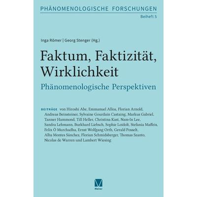 Faktum, Faktizität, Wirklichkeit, Taschenbuch von , Meiner, F, 978-3-7873-4201-3