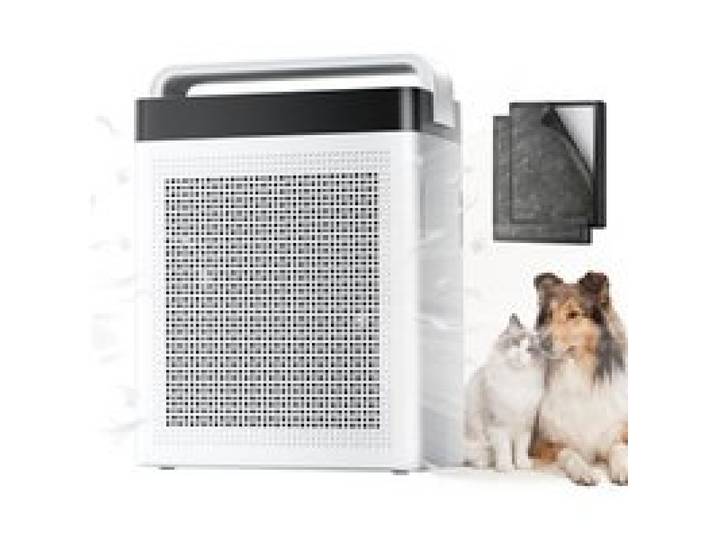 Purificateur DAir Maison 2500 Pi² Double Entrée Préfiltre Lavable Anti-Allergies Et Odeurs Capteur Qualité DAir