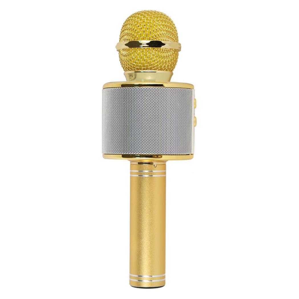 Xtreme Hollywood Gold, Silber Karaoke-Mikrofon (27837K)