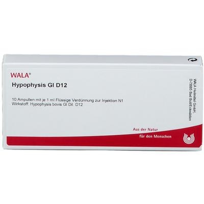 Hypophysis GL D 12 Ampullen 10x1 ml