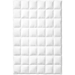 Kauffmann Weidegans Daunendecke warm - 200x200cm