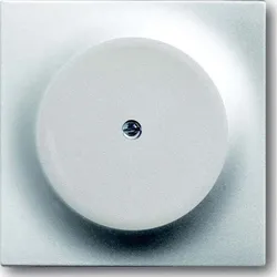 Busch-Jaeger Zentralscheibe alu/si 1742-783