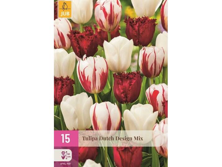 Tulpenbollen dutch design mix 15 stuks