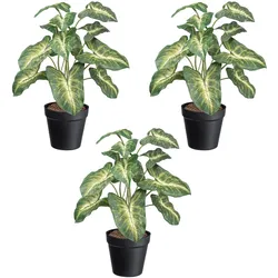CREATIV green Künstliche Pflanze Syngonium pixie 38cm im Topf
