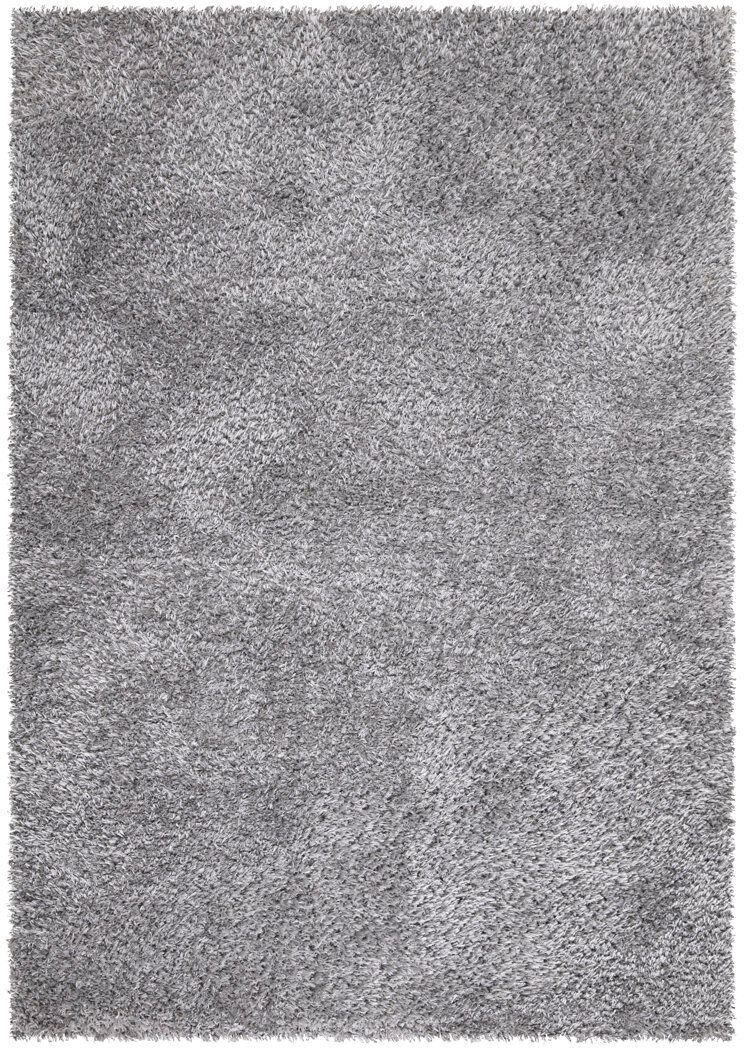 Symple Stuff Ahupendra Shaggy Area Rug Gray Rectangle 120 x 170cm
