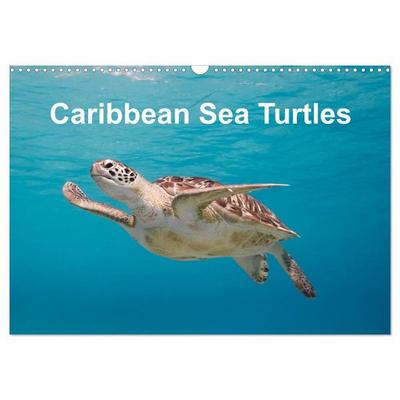 Caribbean Sea Turtles (Wall Calendar 2027 DIN A3 landscape), CALVENDO 12 Month Wall Calendar