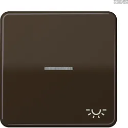 Jung Wippe Symbol LICHT/Lichtl br für beleuchtbar Taster CD 590 KO5L BR
