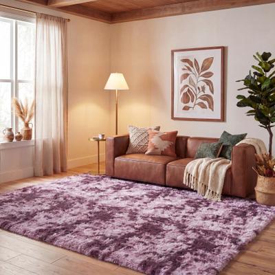 SAFAVIEH Rainbow Shag George Shag Rug