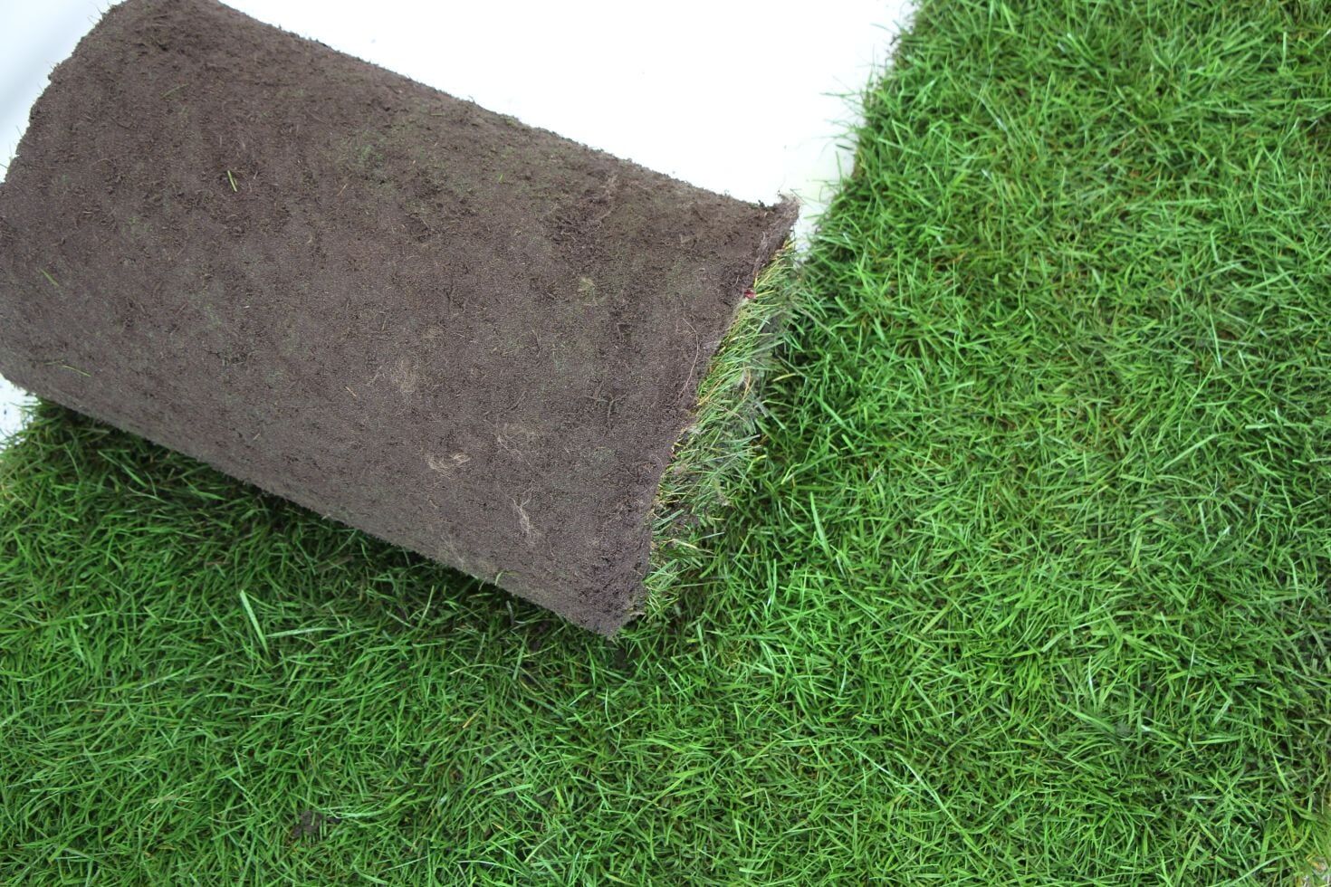 Premoplan Rollrasen Premium ab 30 m²