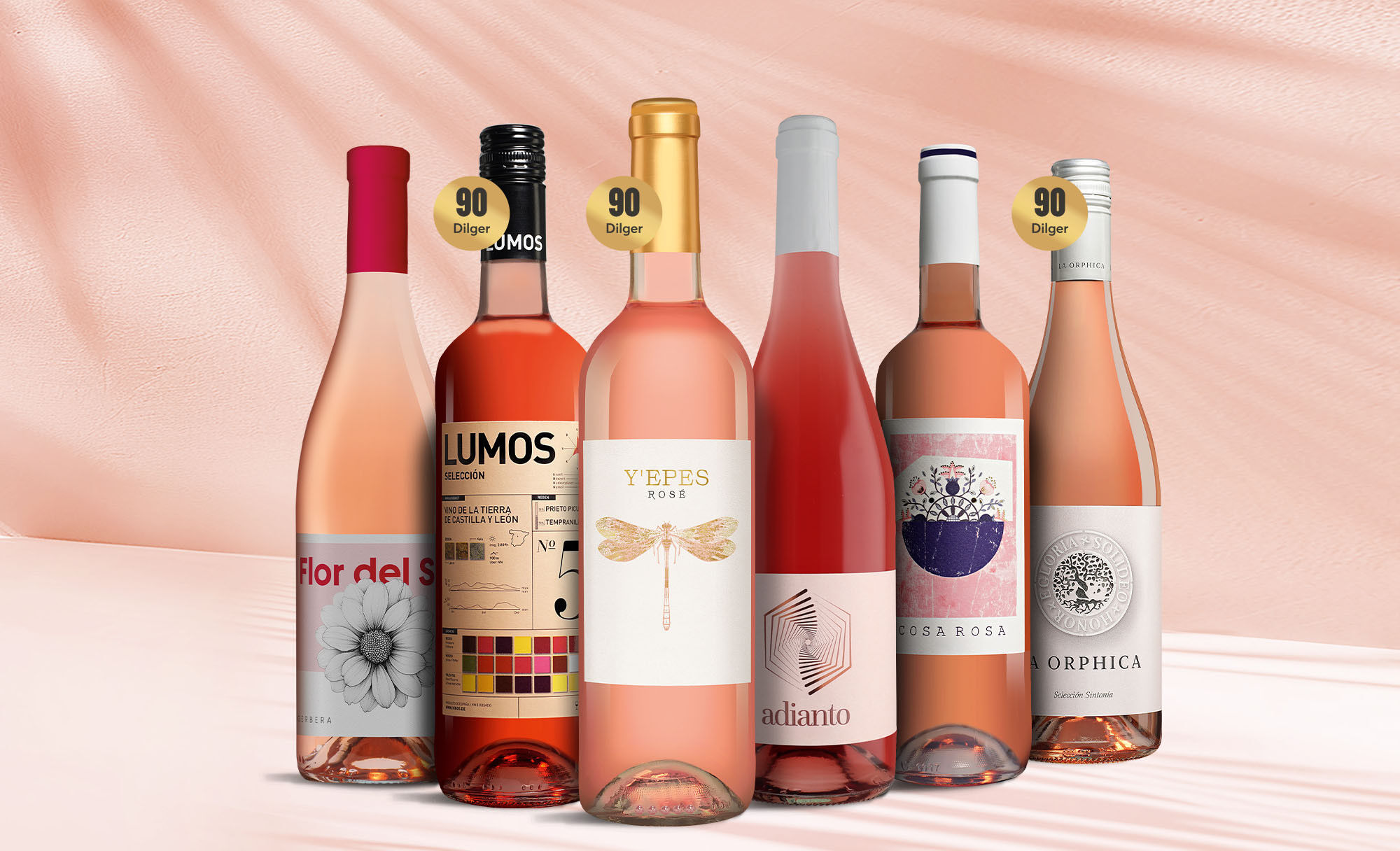 Rosado-Favoriten Weinpaket  aus Spanien