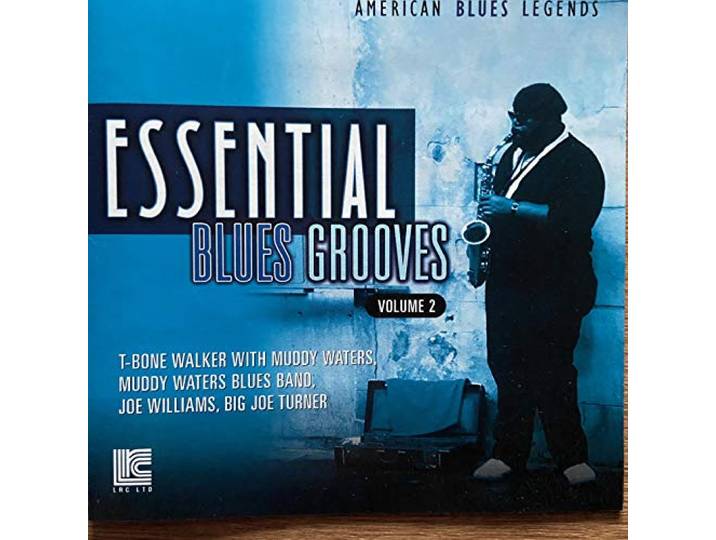 Muddy Waters & Friends - Essential Blues Groove Volume 2