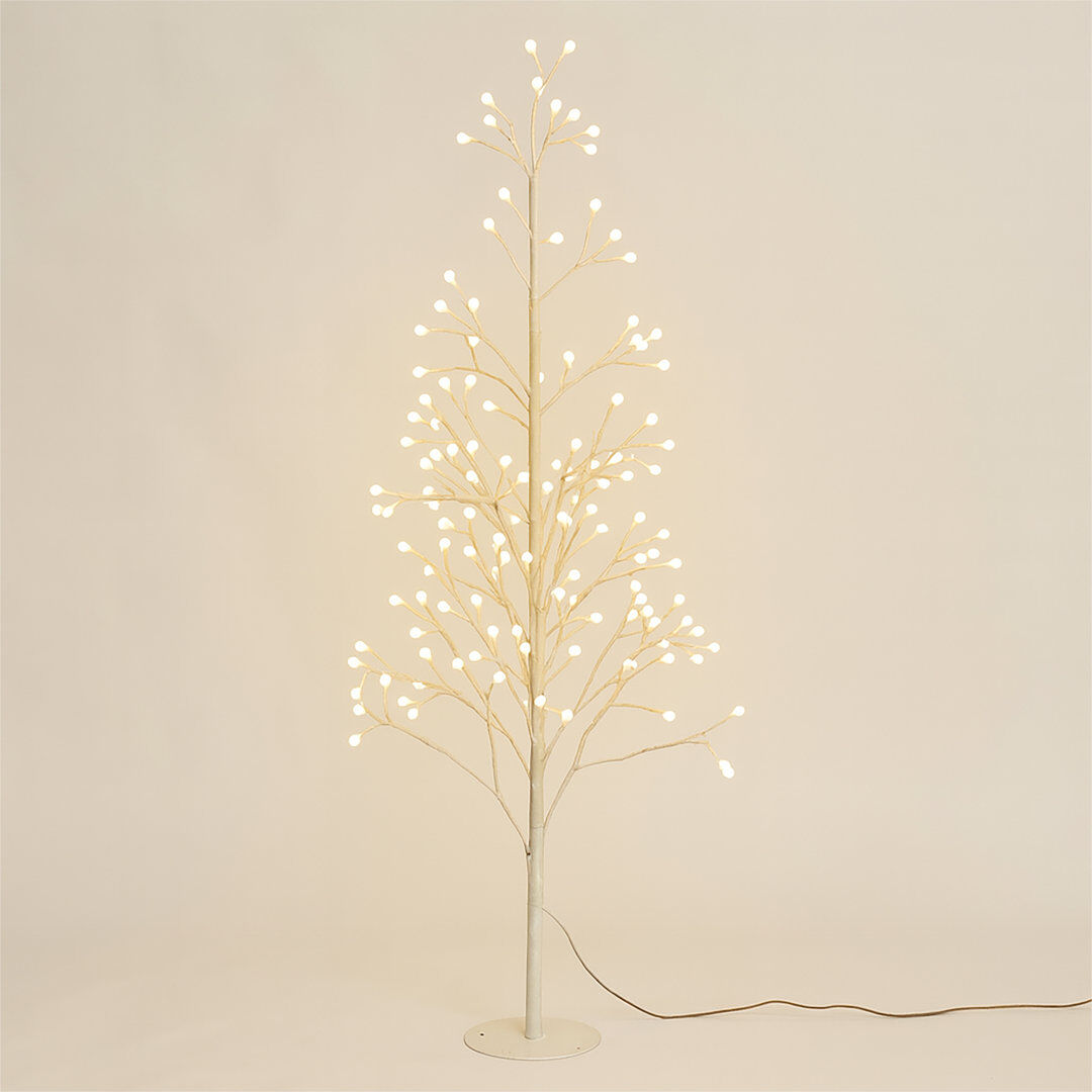 The Seasonal Aisle LED Indoor / Outdoor Lighted Trees & Branches White 150cm