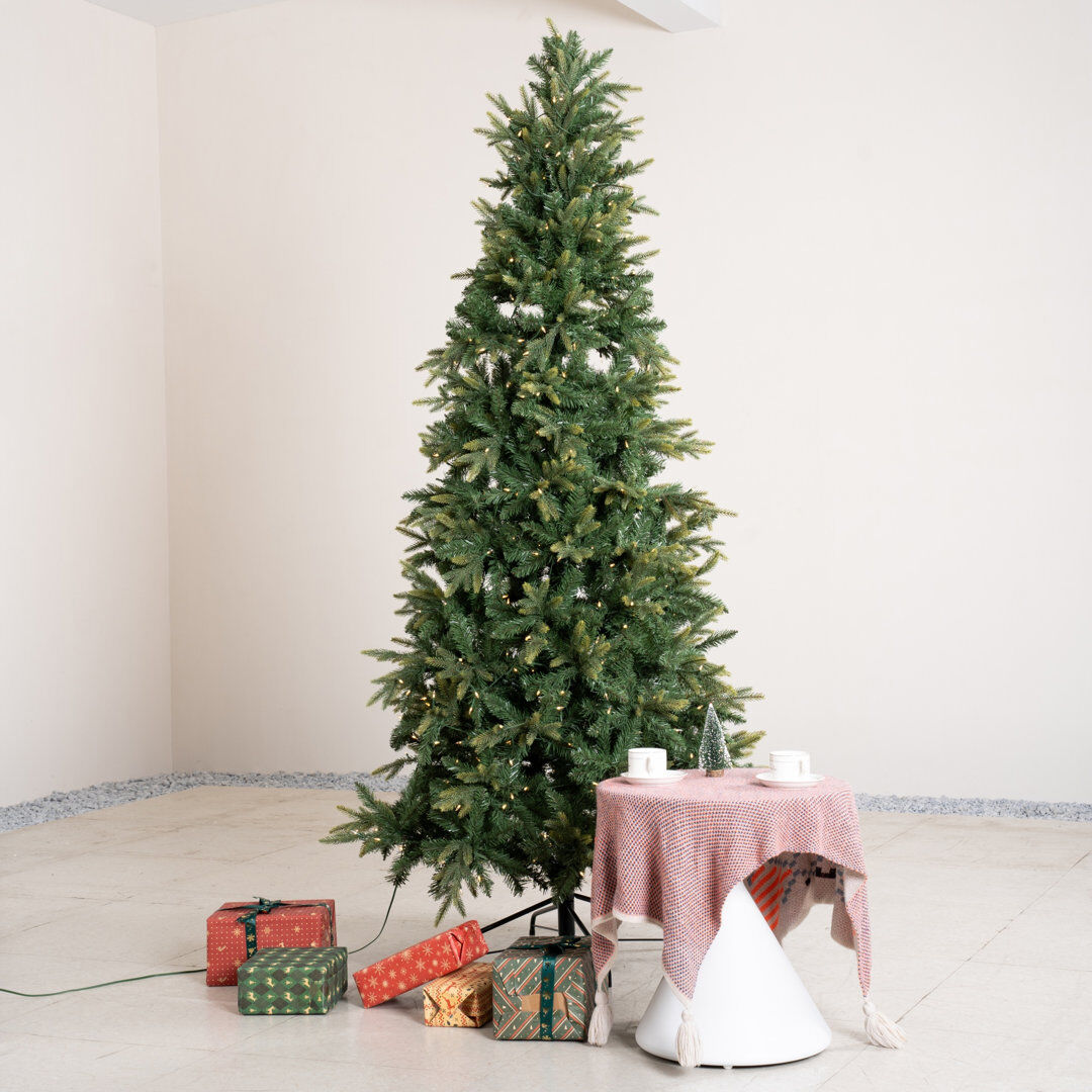 Brayden Studio 195' H Christmas Tree 195' H X 115'