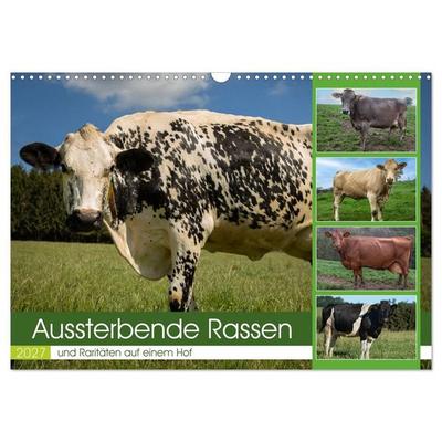 Aussterbende Rassen und Raritäten (Wandkalender 2027 DIN A3 quer), CALVENDO Monatskalender