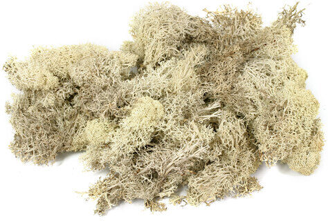Islandmoos, natur, 250 g