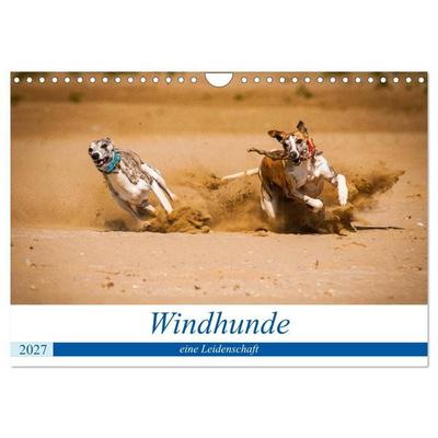 Windhunde - eine Leidenschaft (Wandkalender 2027 DIN A4 quer), CALVENDO Monatskalender