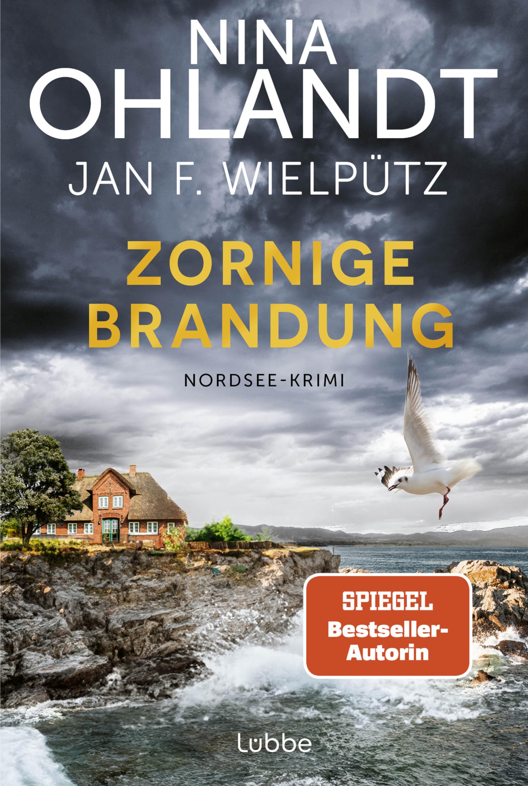 Nina Ohlandt - Zornige Brandung: Nordsee-Krimi (Hauptkommissar John Benthien, Band 11) - Preis vom 12.10.2026 11:37:12 h