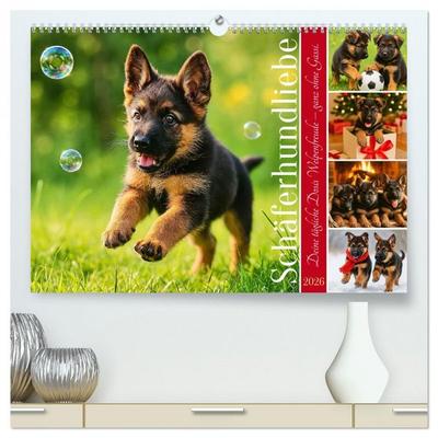Schäferhundliebe - Deine tägliche Dosis Welpenfreude – ganz ohne Gassi. (hochwertiger Premium Wandkalender 2026 DIN A2 quer), Kunstdruck in Hochglanz