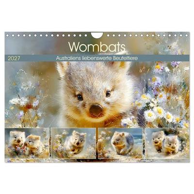 Wombats. Australiens liebenswerte Beuteltiere (Wandkalender 2027 DIN A4 quer), CALVENDO Monatskalender