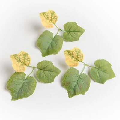 Inspire Essentials Artificial Grape Leaf Garland Greenery Wedding And Home Decor light Green