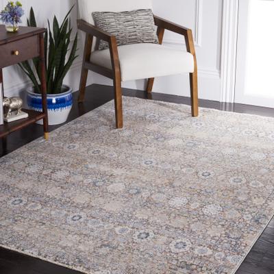 SAFAVIEH Princeton Xhezide Vintage Rug