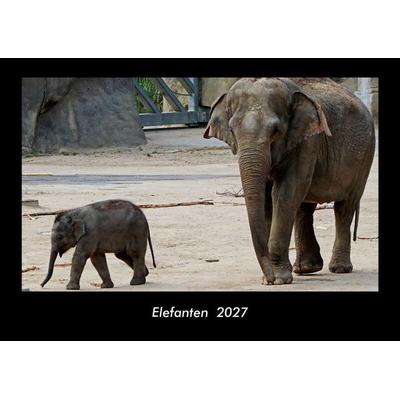 Elefanten 2027 Fotokalender DIN A3
