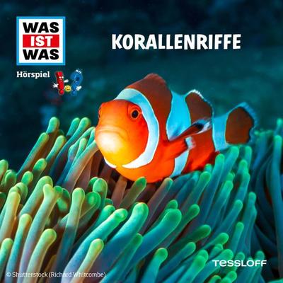 Korallenriffe - Matthias Falk,Manfred Baur, Audio, 4099995255188