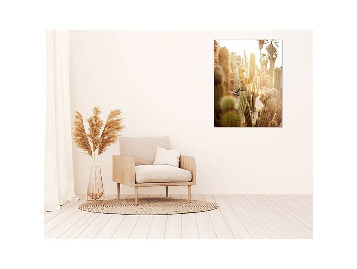 Tableau déco Various cactus in desert Alu-Dibond Multicolore 70 x 90cm