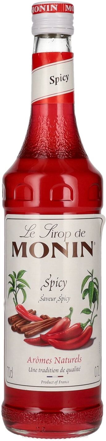 Le Sirop de Monin SPICY 0,7l