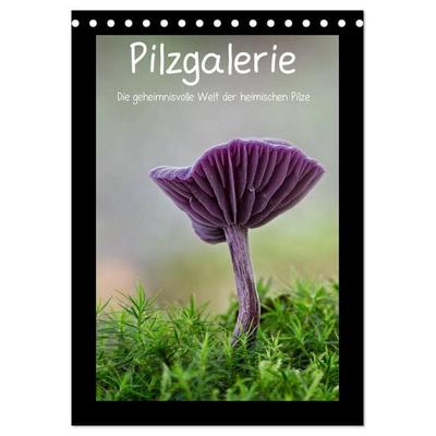 Pilzgalerie - Die geheimnisvolle Welt der heimischen Pilze (Tischkalender 2026 DIN A5 hoch), CALVENDO Monatskalender