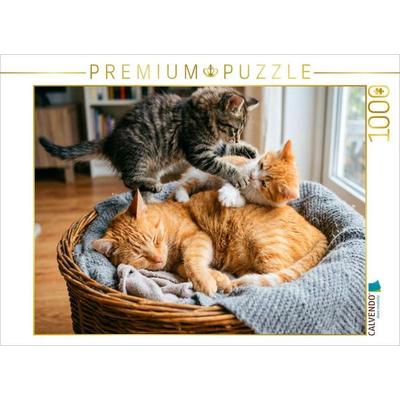 CALVENDO Puzzle Unerschütterliche Geduld der Katzenmutter | 1000 Teile Lege-Größe 64x48cm Foto-Puzzle für glückliche Stunden